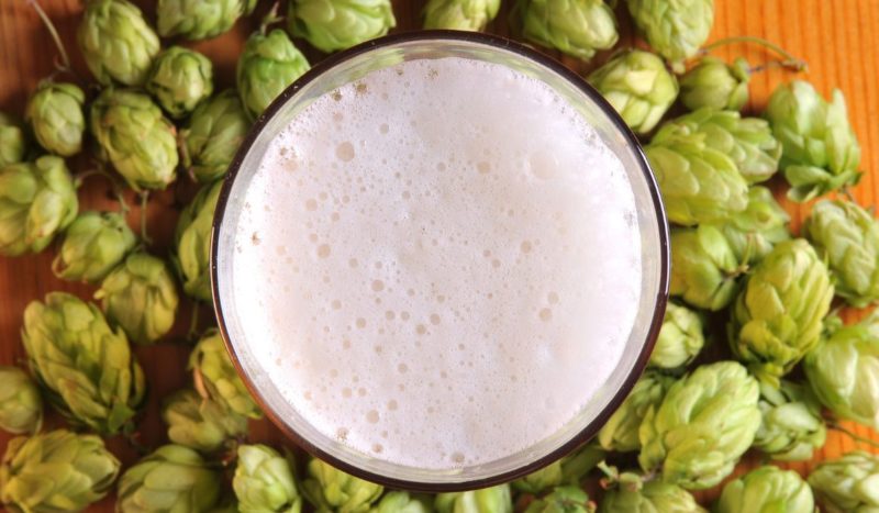 What Does IPA Beer Mean: Your 101 Guide