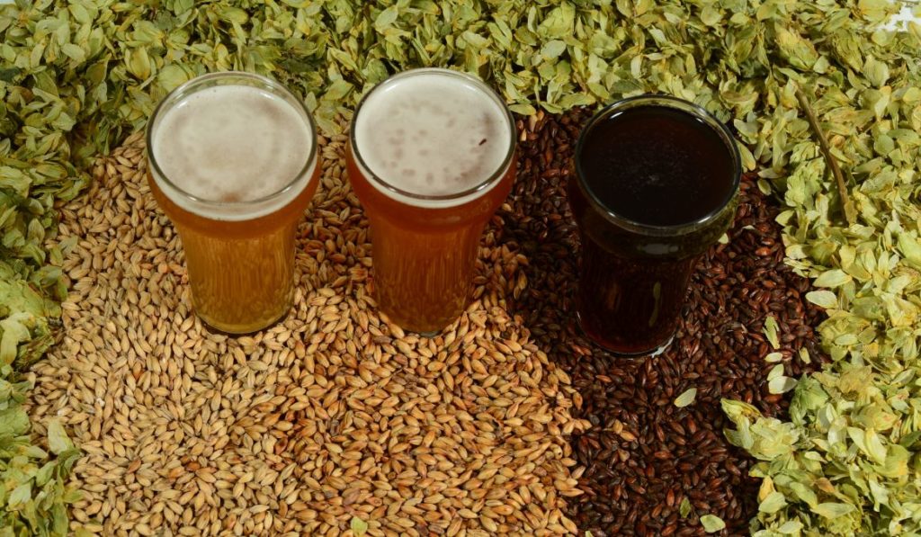 what-do-tannins-in-beer-taste-like-your-complete-guide