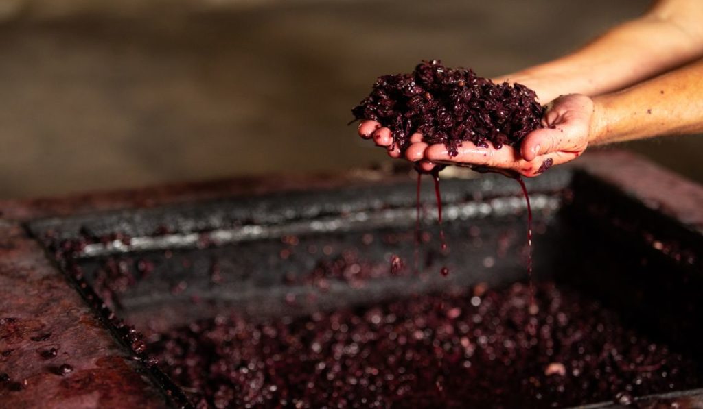 how-to-measure-sugar-content-when-making-wine