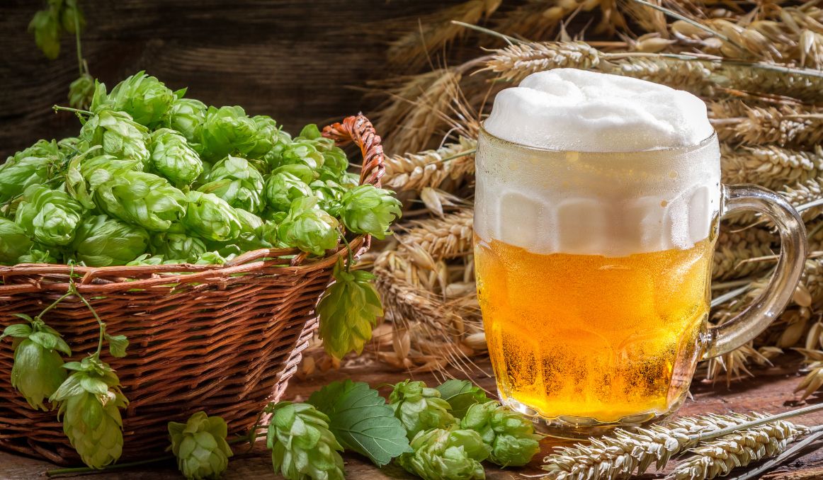 what-does-dry-hopped-mean-in-brewing