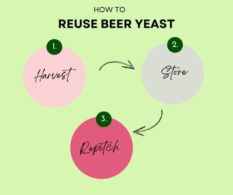 How to Reuse Beer Yeast 3 Steps to Repitching Yeast Slurry