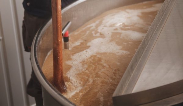 How To Grow Your Own Yeast For Brewing