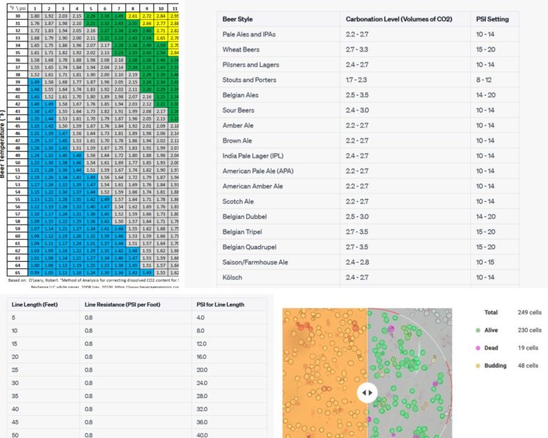 Carbonation Chart For Beer: A Complete Guide for Brewers