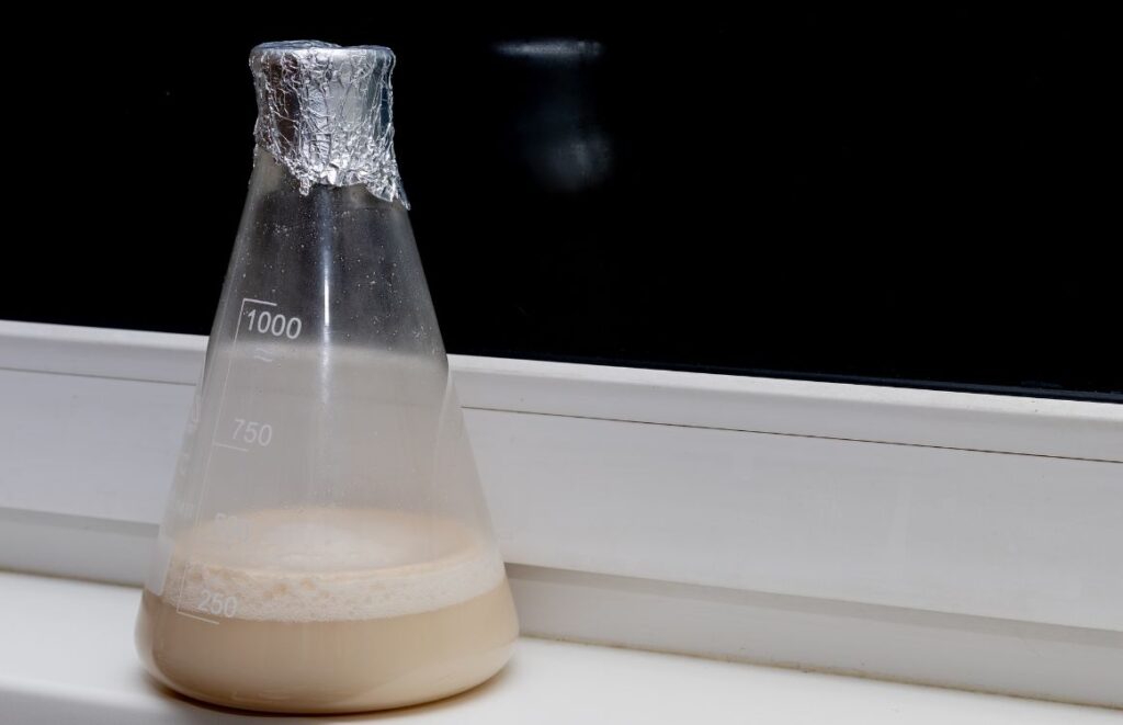 yeast and different sugars experiment