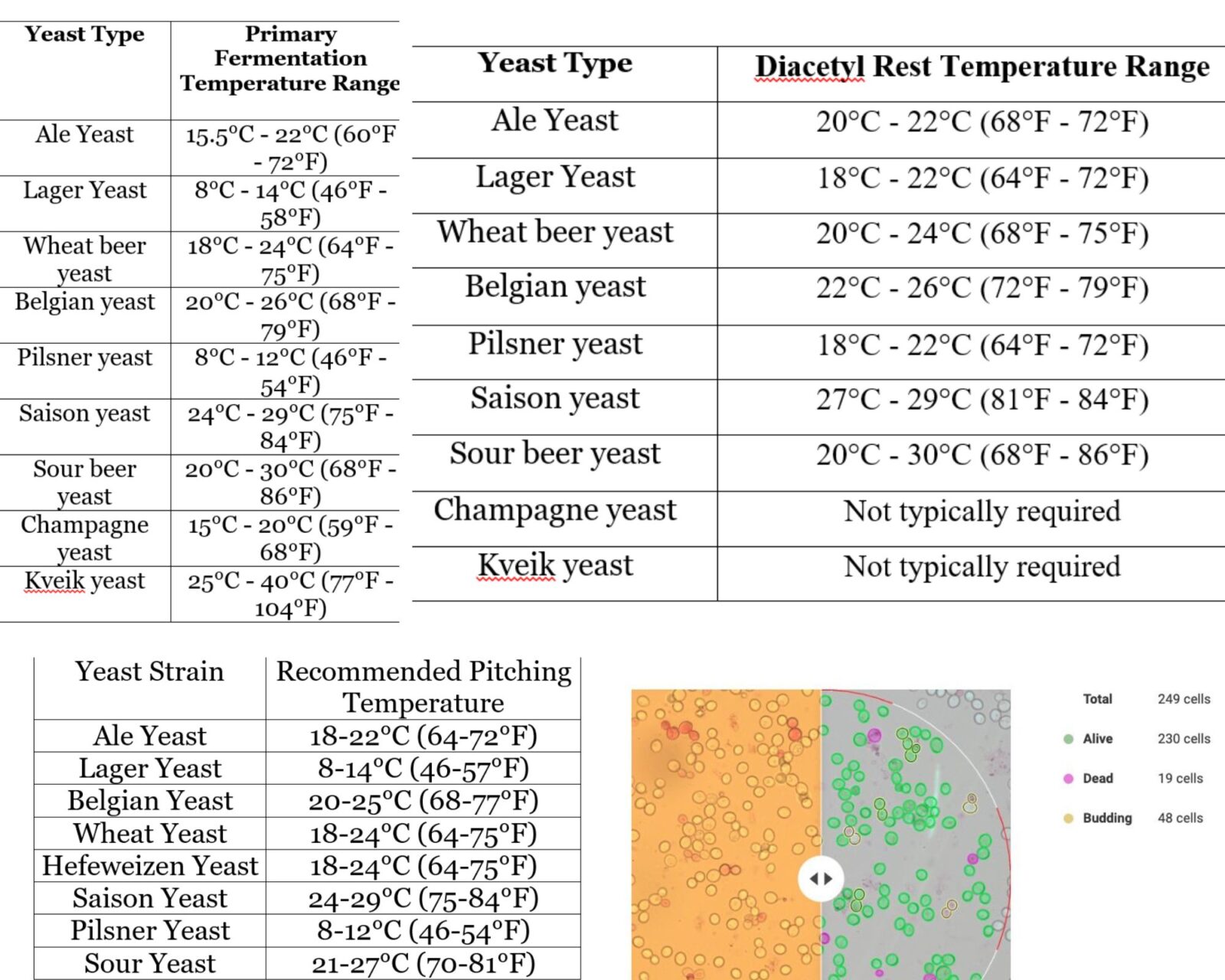 Beer Fermentation Temperature Chart A Complete Guide